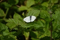 30 07 12_3173_edited-1